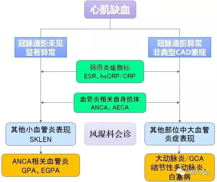 急性心肌梗死的另类病因——系统性血管炎