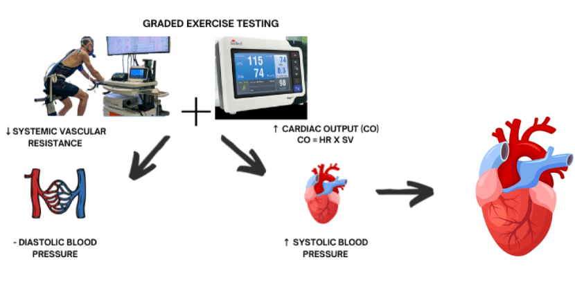 运动性高血压需要治疗吗？