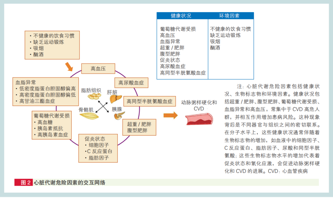 防控中国心血管病，心血管代谢因素是关键！阜外医院李建军述评