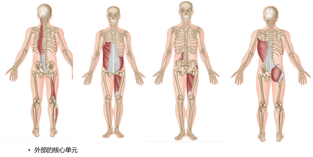 腰骶疼痛易忽视的原因：骶髂关节功能紊乱