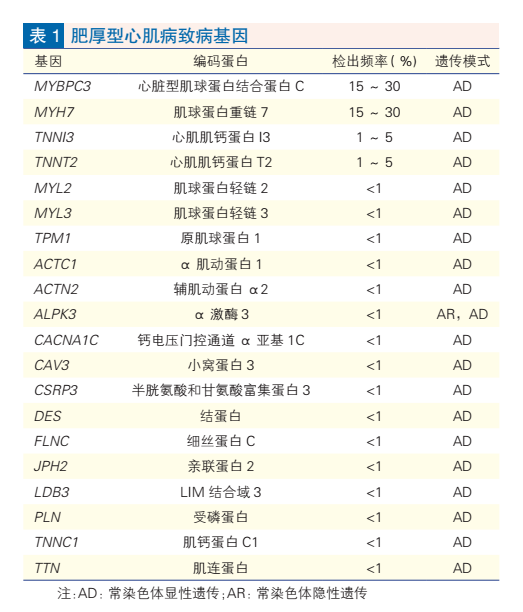 定义更新！2023版中国成人肥厚型心肌病指南发布