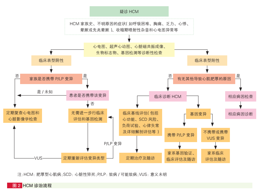 定义更新！2023版中国成人肥厚型心肌病指南发布