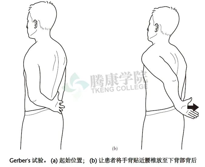 【汇总】肩关节的多项特殊检查