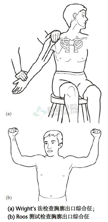 【汇总】肩关节的多项特殊检查