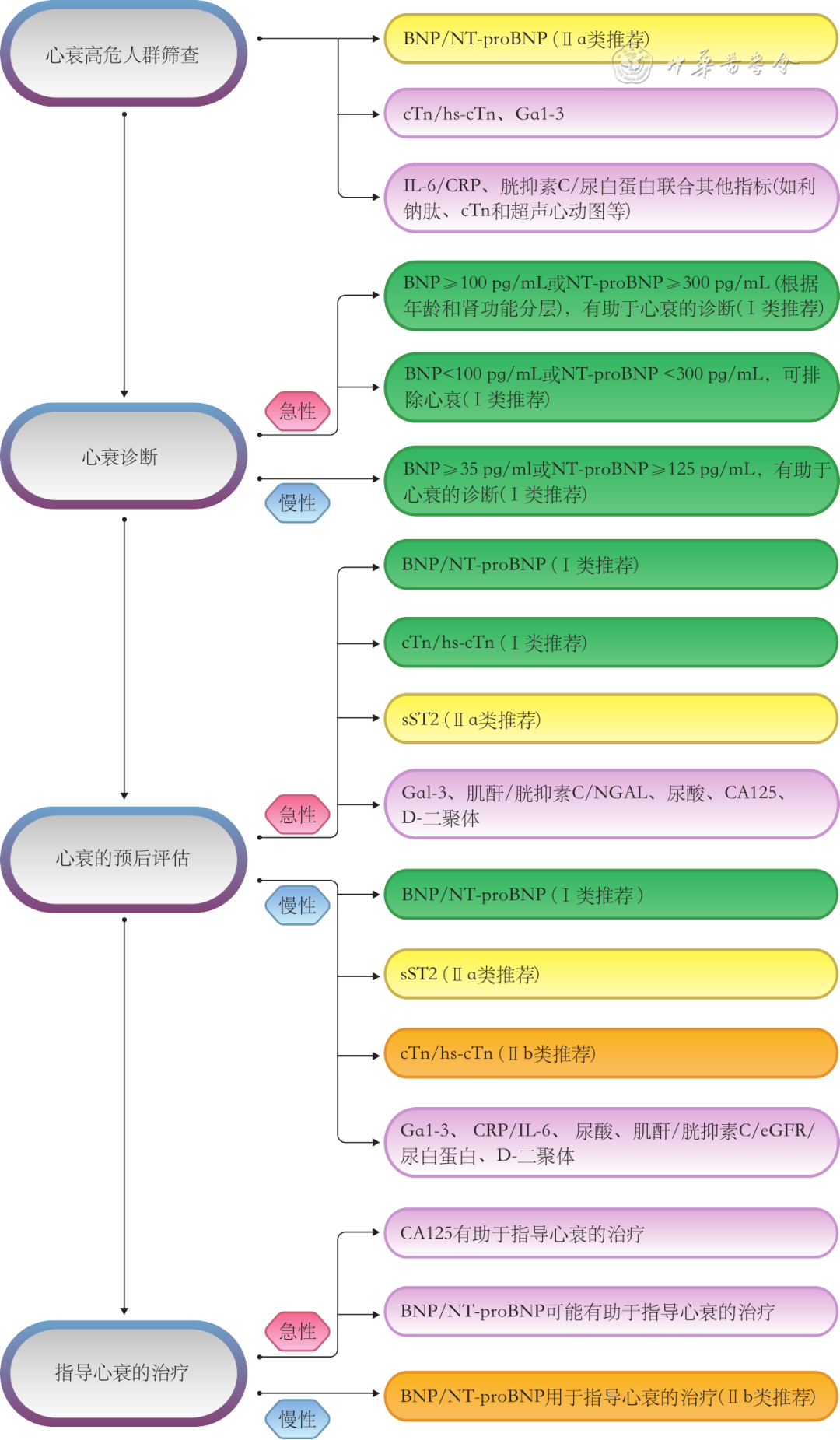 心力衰竭生物标志物临床应用中国专家共识