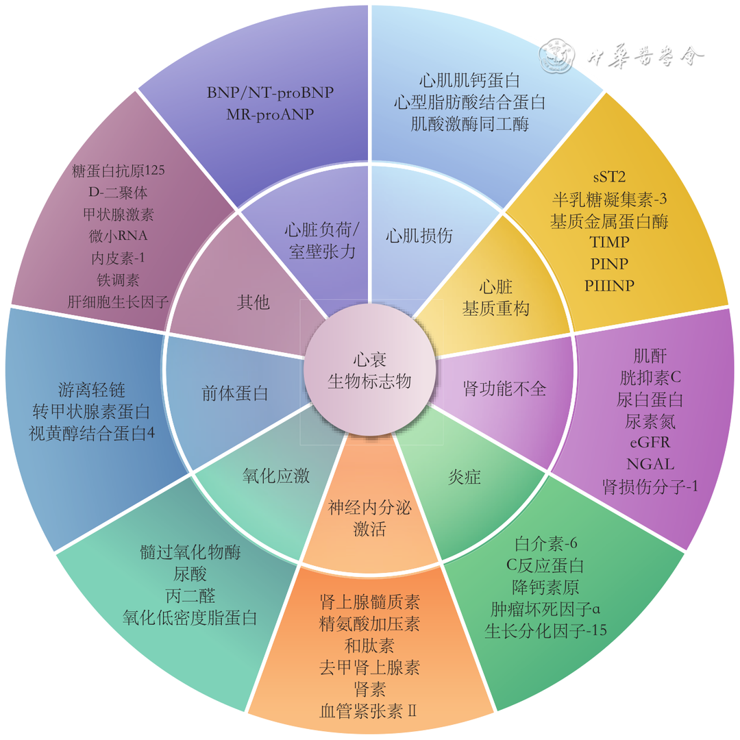 心力衰竭生物标志物临床应用中国专家共识