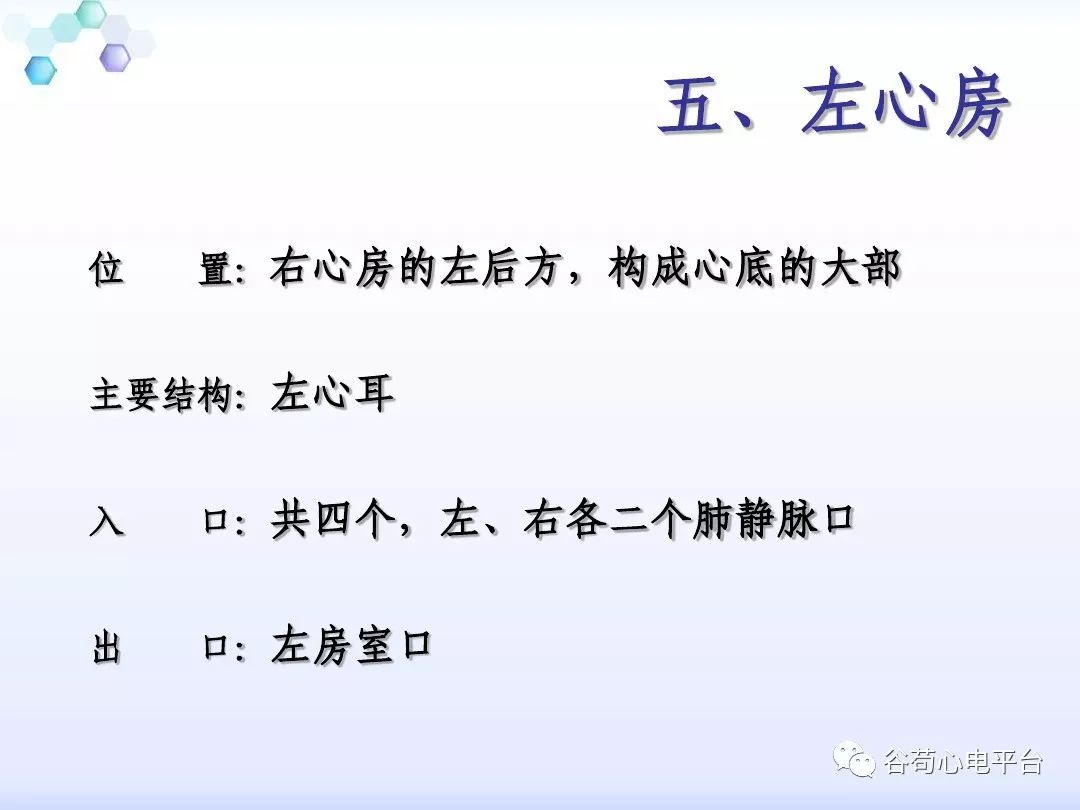 精美图文！心脏的解剖结构及传导系统