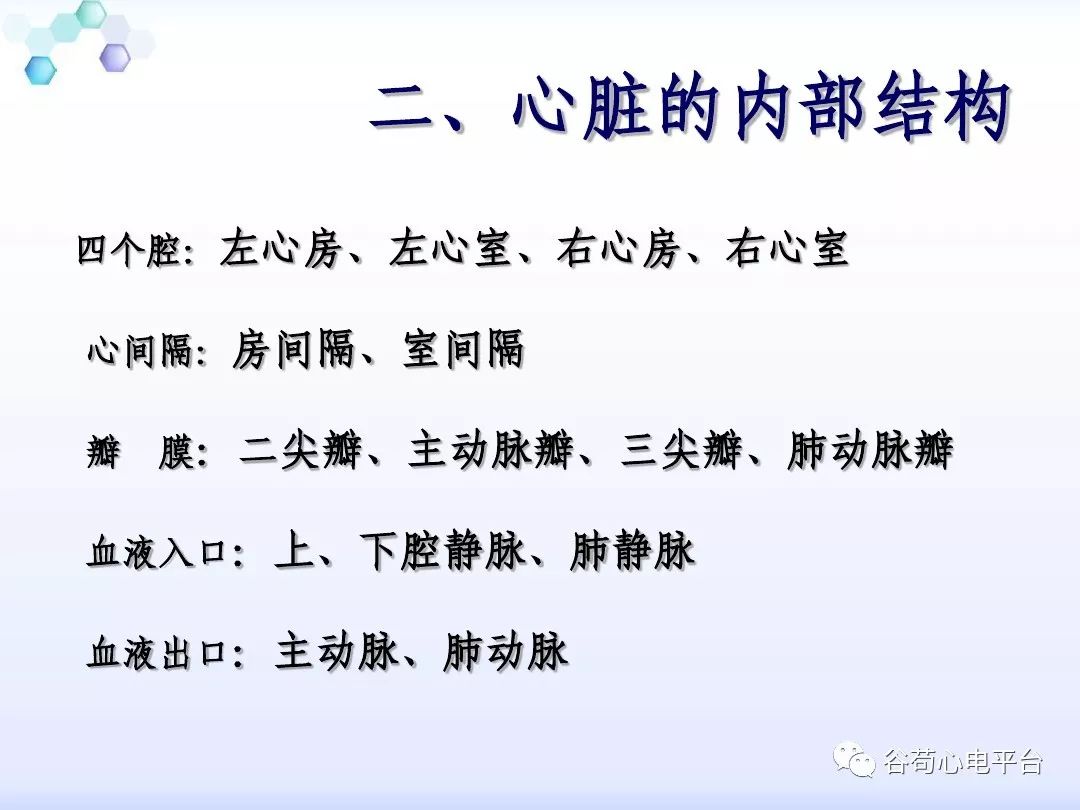 精美图文！心脏的解剖结构及传导系统