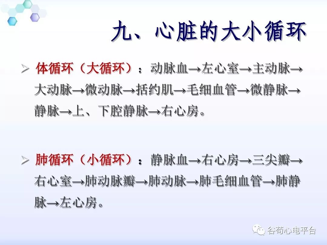 精美图文！心脏的解剖结构及传导系统