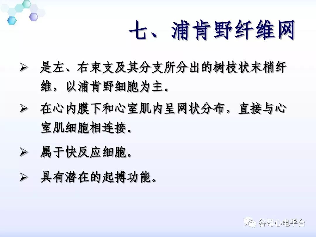 精美图文！心脏的解剖结构及传导系统