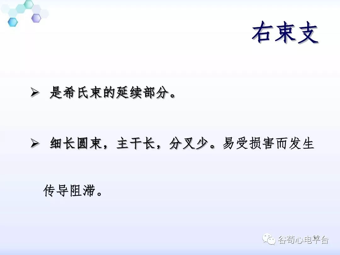 精美图文！心脏的解剖结构及传导系统