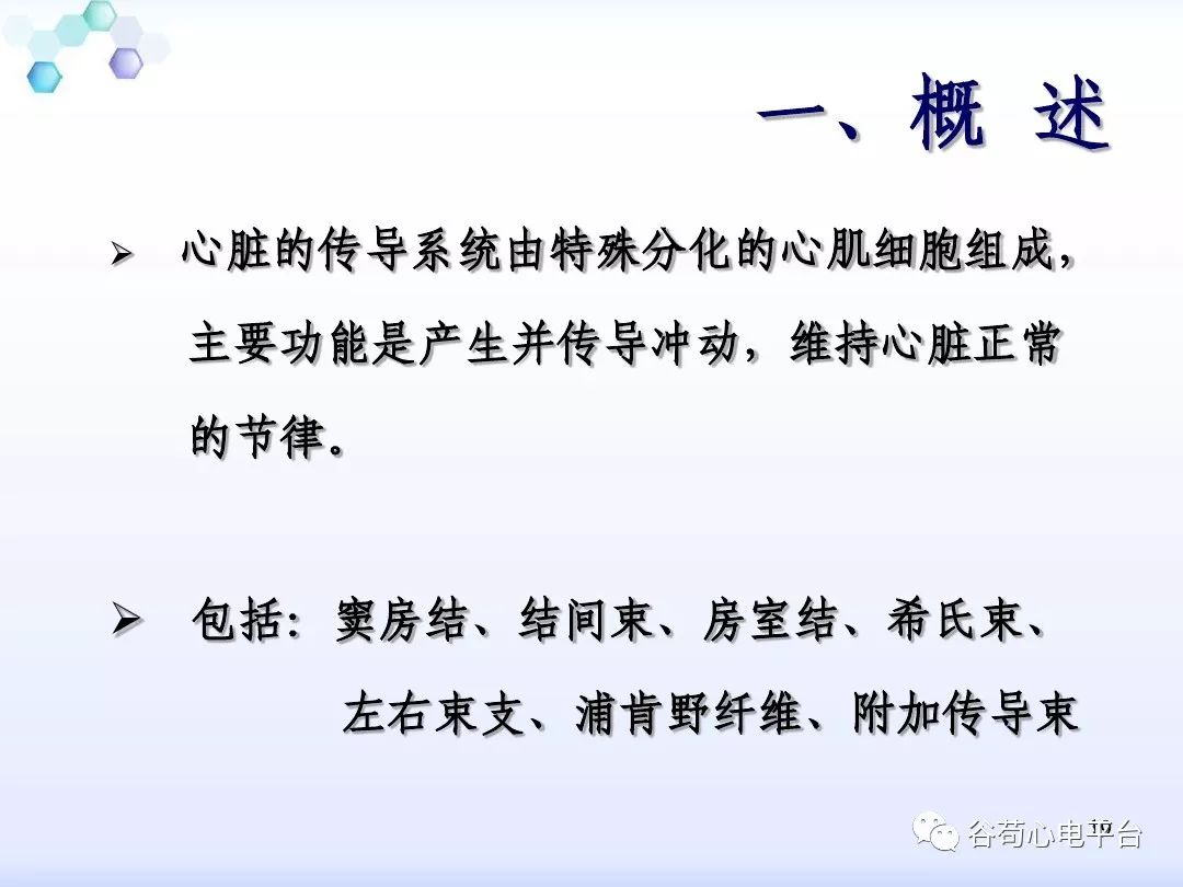 精美图文！心脏的解剖结构及传导系统