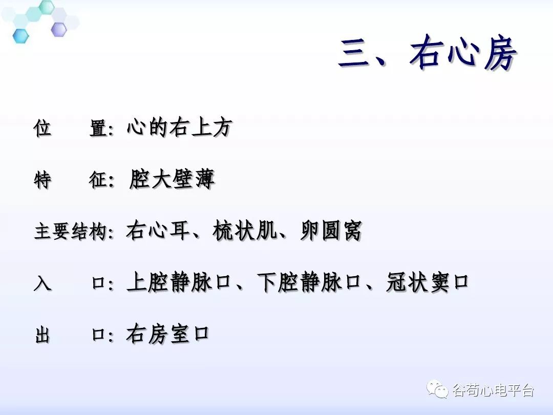 精美图文！心脏的解剖结构及传导系统