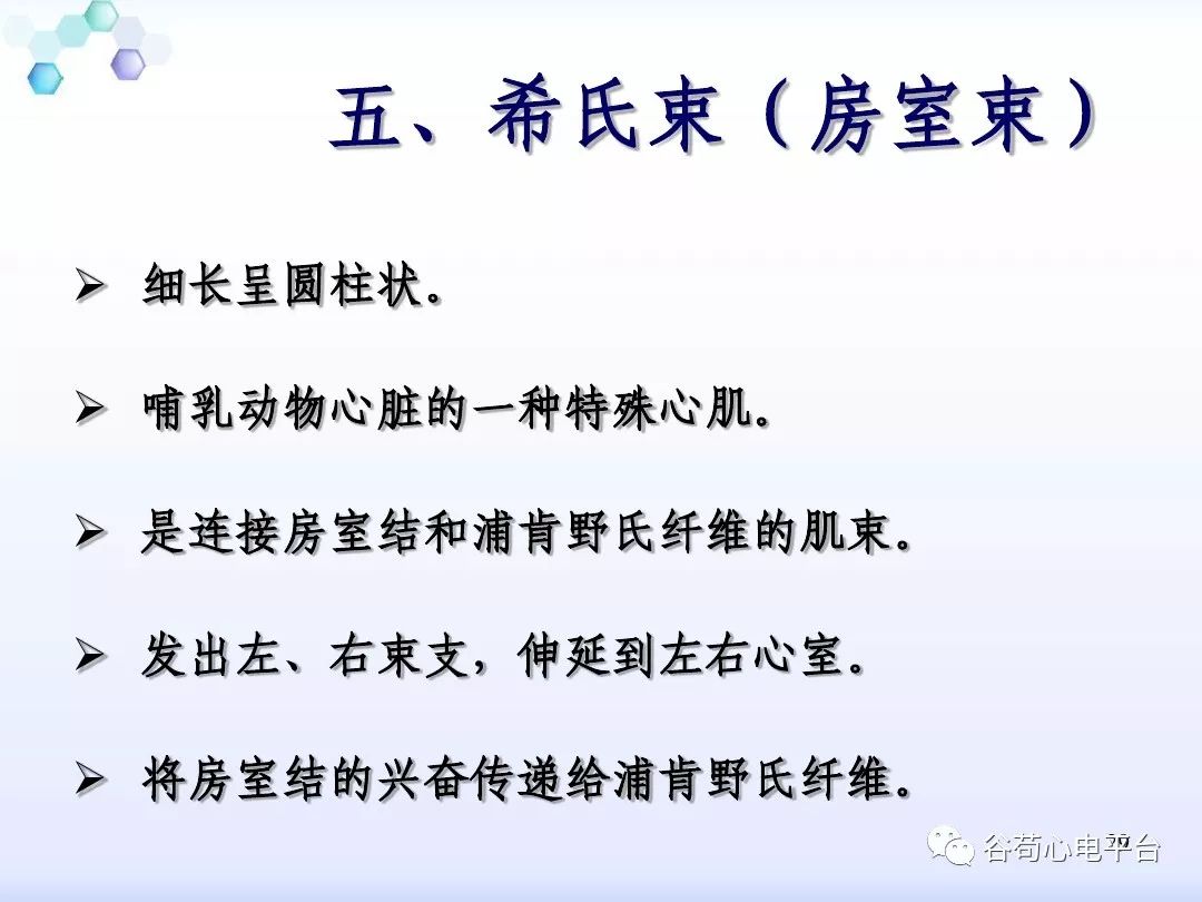 精美图文！心脏的解剖结构及传导系统