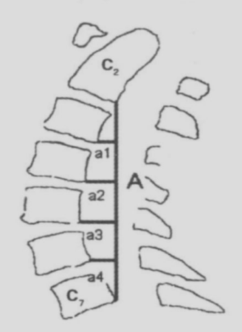 细数颈椎曲度的测量方法