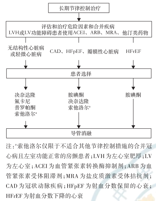 年轻、初发或病程短的房颤，应考虑节律控制！中国共识