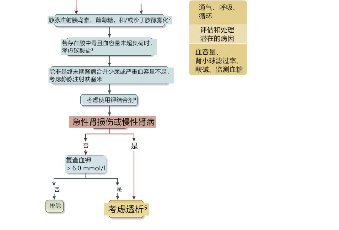 关于高钾血症，知识点都在这里了！