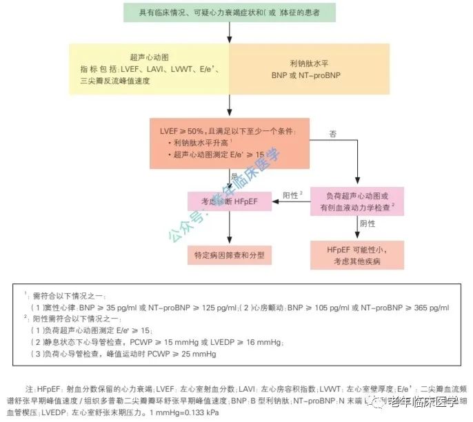 射血分数保留的心衰诊断与治疗中国专家共识(2023)