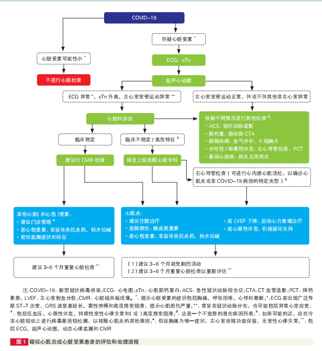 如何评估冠状病毒感染相关心肌损伤、心肌炎和长新冠？中国专家共识