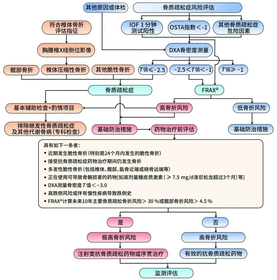 原发性骨质疏松症诊疗指南（2022）