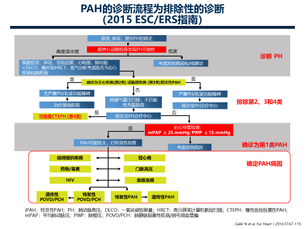 慢性血栓栓塞性肺动脉高压的诊治