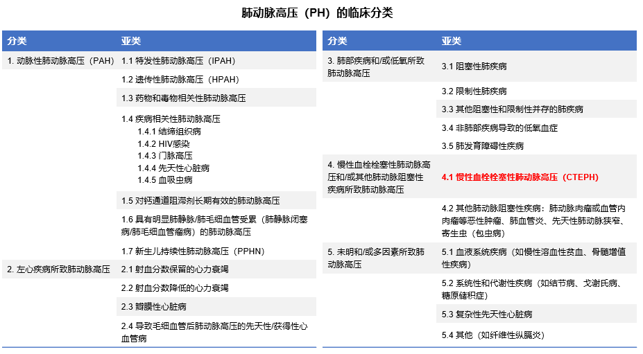 慢性血栓栓塞性肺动脉高压的诊治