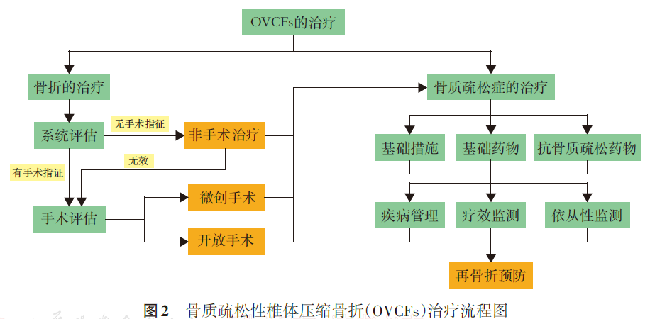 骨质疏松性椎体压缩骨折诊治专家共识（2021版）