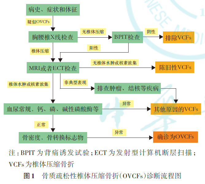 骨质疏松性椎体压缩骨折诊治专家共识（2021版）