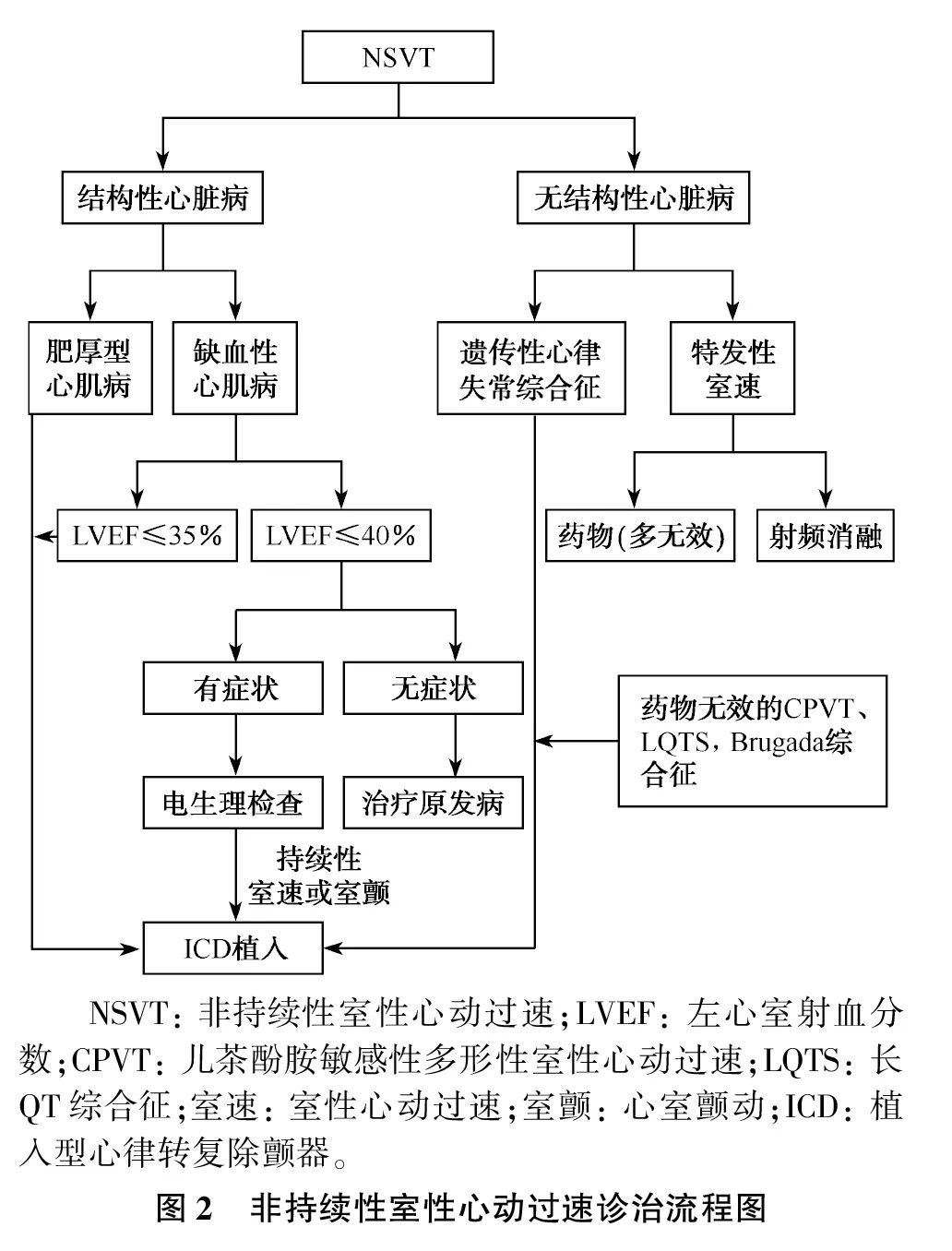 室性心律失常中国专家共识基层版