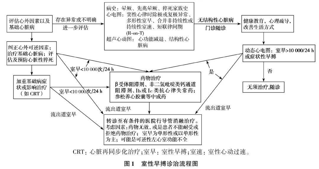 室性心律失常中国专家共识基层版