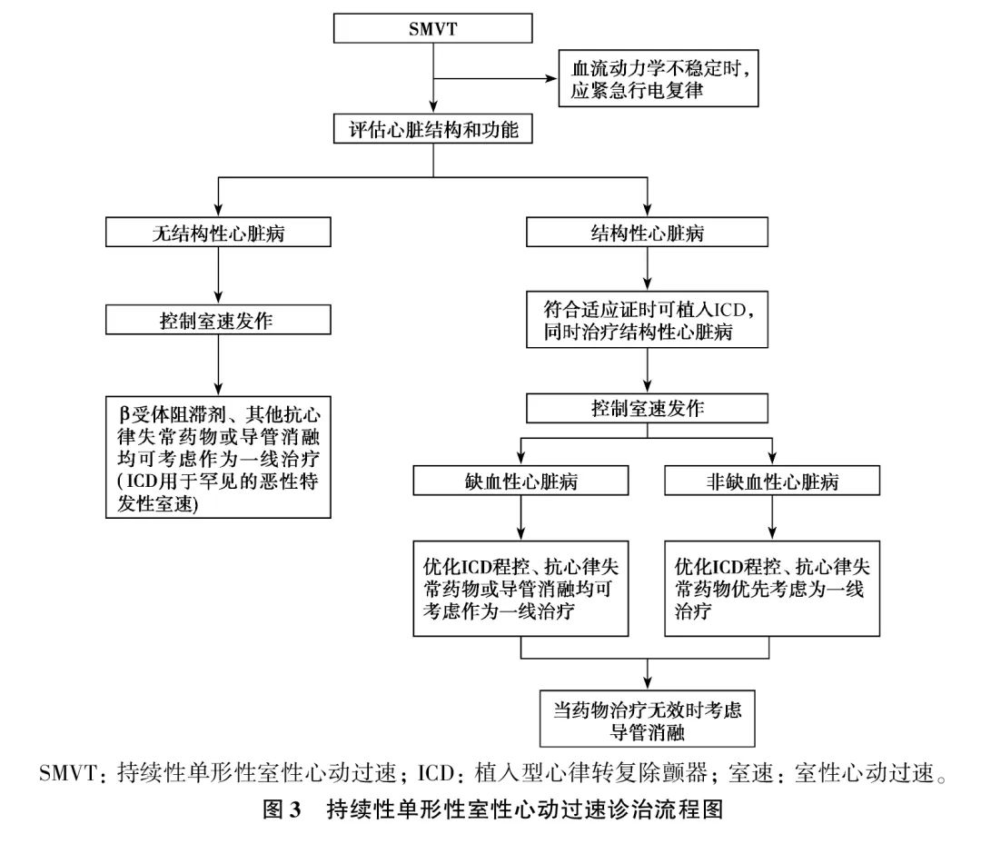 室性心律失常中国专家共识基层版