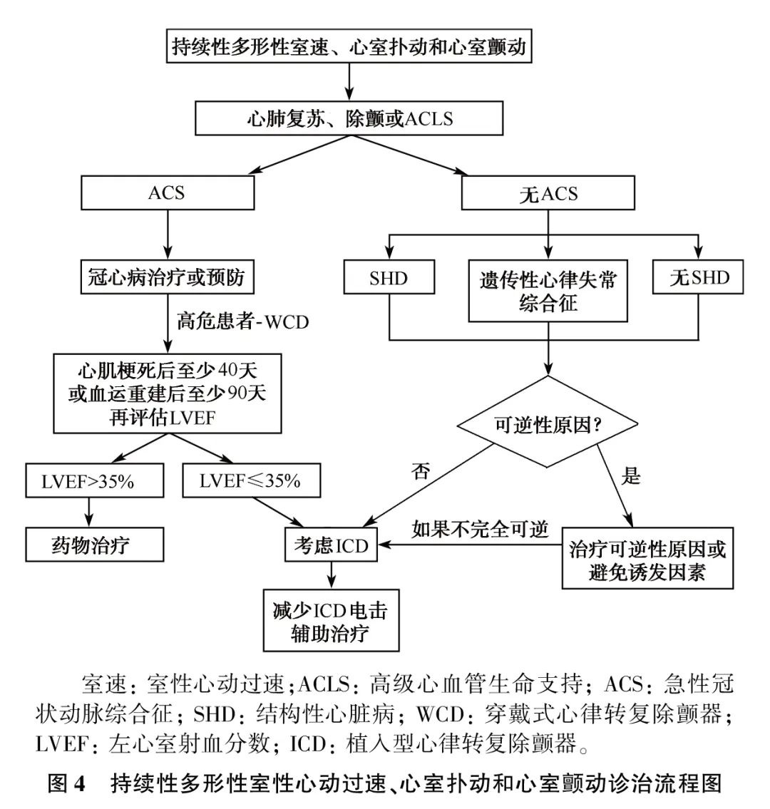 室性心律失常中国专家共识基层版