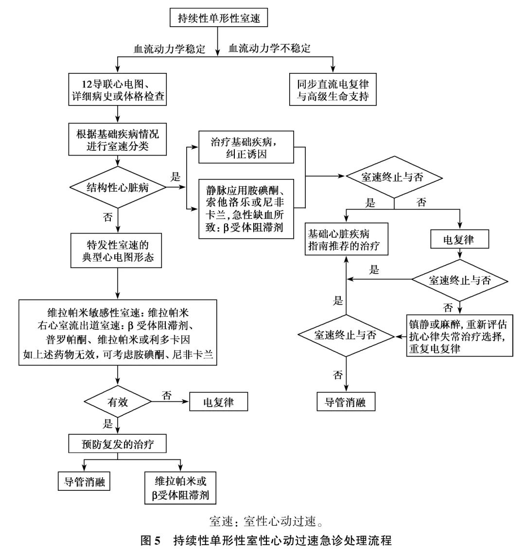 室性心律失常中国专家共识基层版