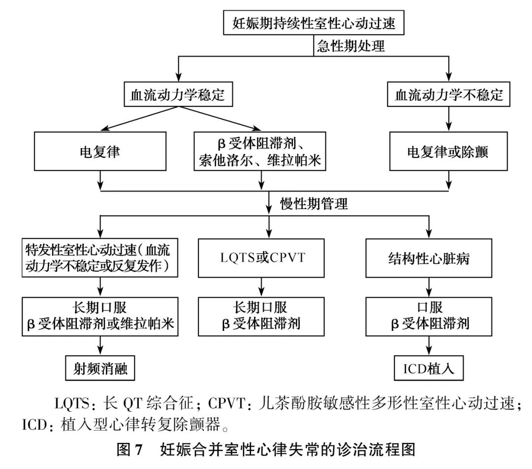 室性心律失常中国专家共识基层版