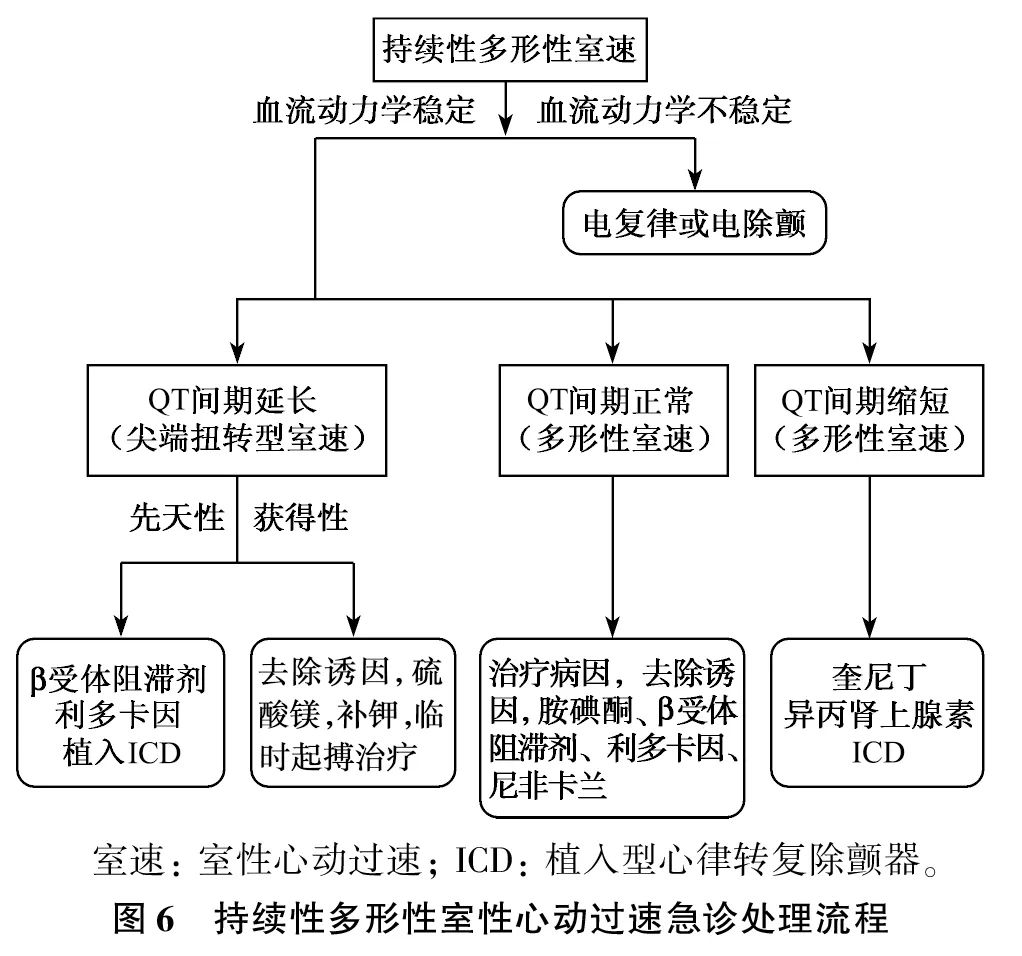 室性心律失常中国专家共识基层版