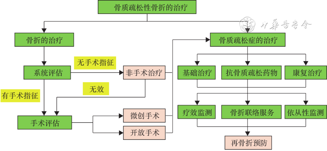 骨质疏松性骨折二级预防中国专家共识