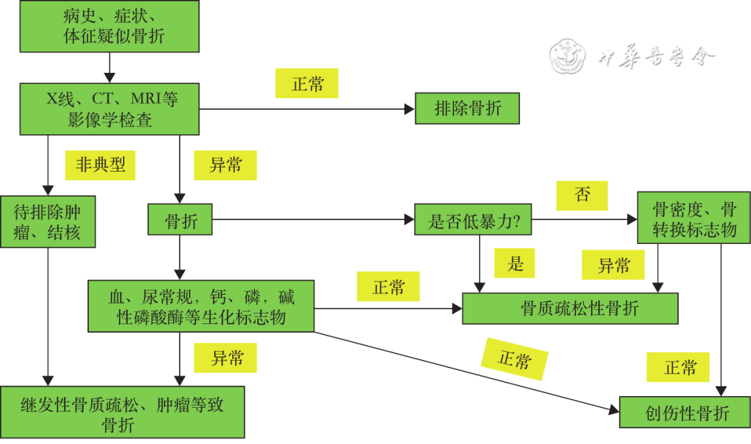 骨质疏松性骨折二级预防中国专家共识