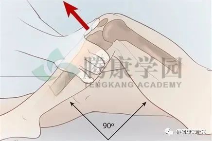 前交叉韧带损伤的相关解剖、分型、病因、症状、诊断和治疗