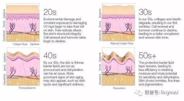 皮肤衰老的类型