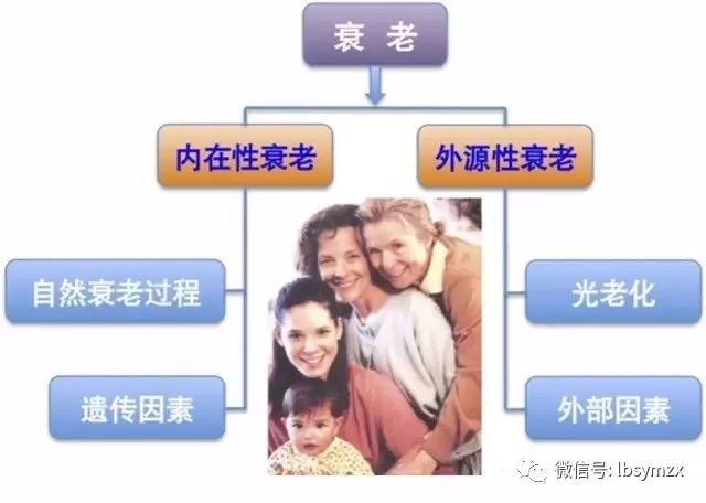 皮肤衰老的类型