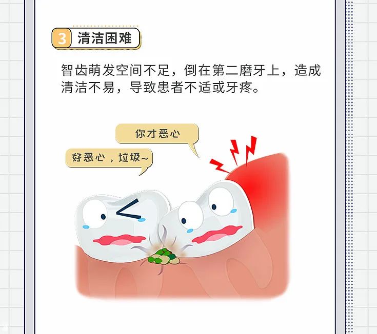 智齿拔or不拔？