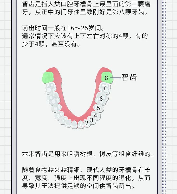 智齿拔or不拔？