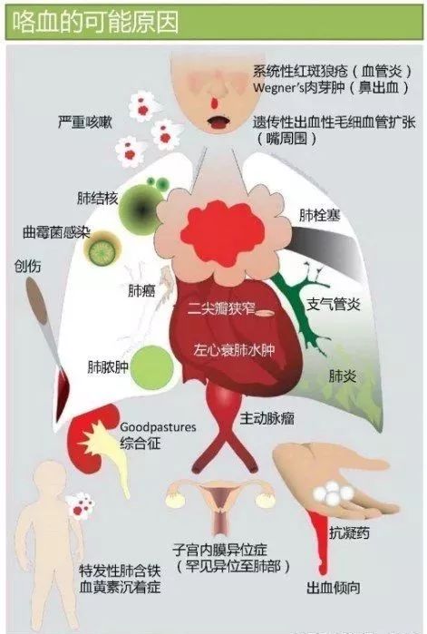 图解心血管系统知识点，绝对让你看过瘾！