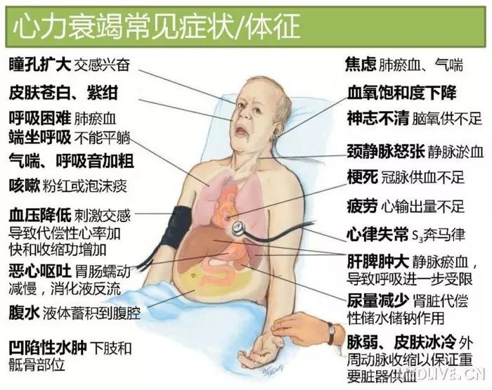 图解心血管系统知识点，绝对让你看过瘾！