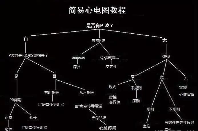 图解心血管系统知识点，绝对让你看过瘾！