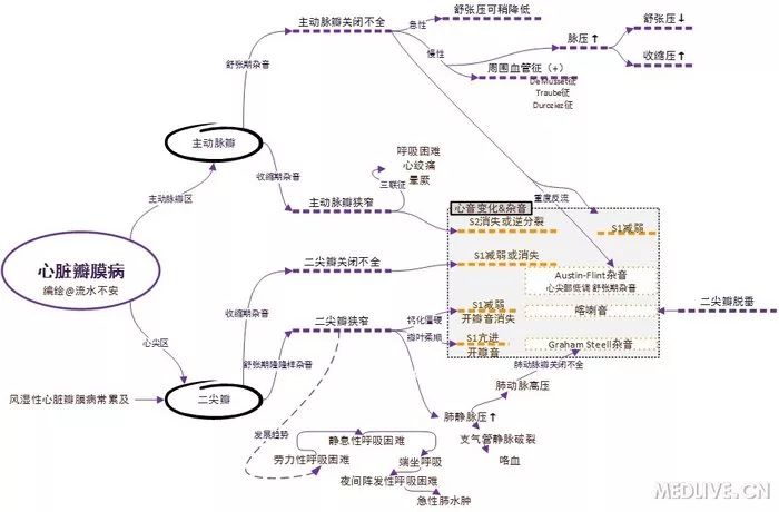 图解心血管系统知识点，绝对让你看过瘾！