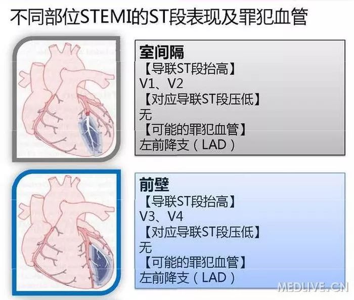 图解心血管系统知识点，绝对让你看过瘾！