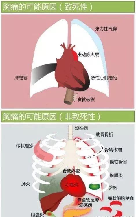 图解心血管系统知识点，绝对让你看过瘾！