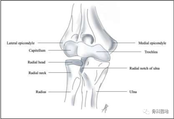 肘部“恐怖三联征”损伤目前的治疗概念