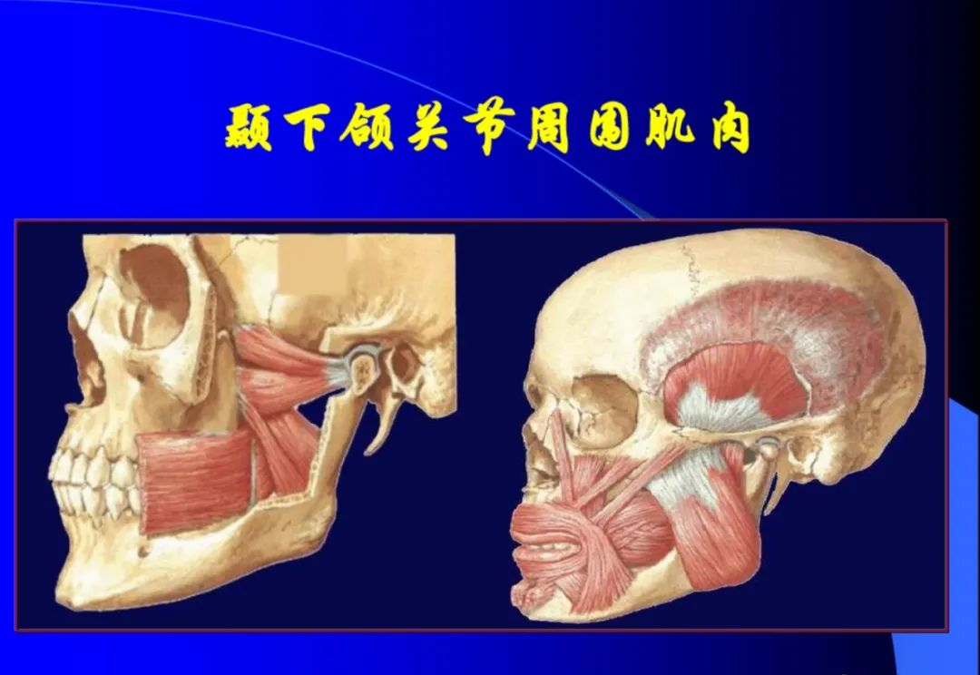 口腔颌面外科学：颞下颌关节脱位